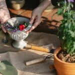 optimize digital growth tools